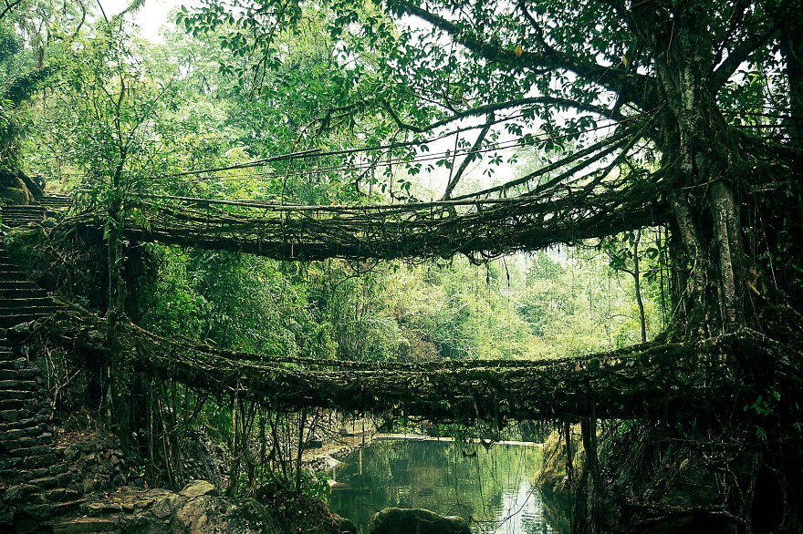 Root Bridge Na Índia