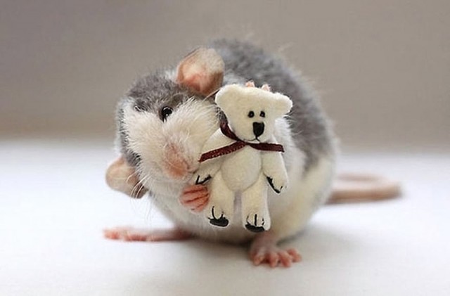 cute-rato-bear-Ellen-de-Deelen-mordida