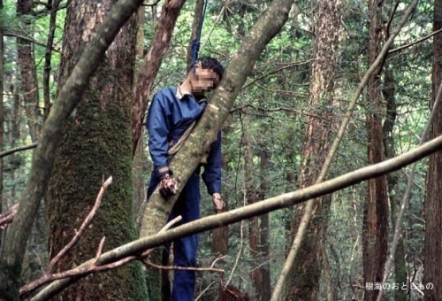 Aokigahara-floresta-de-suicídios 013.jpg.scaled500