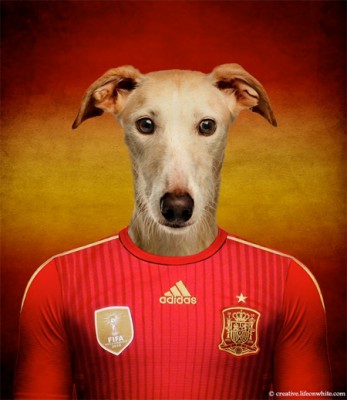 funny-world-cup-themed-dog-pictures (15)