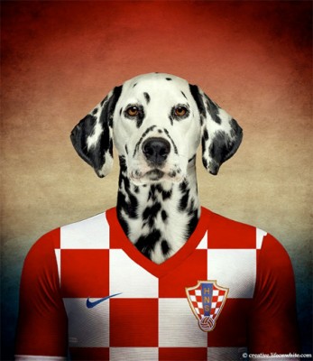 funny-world-cup-themed-dog-pictures (16)