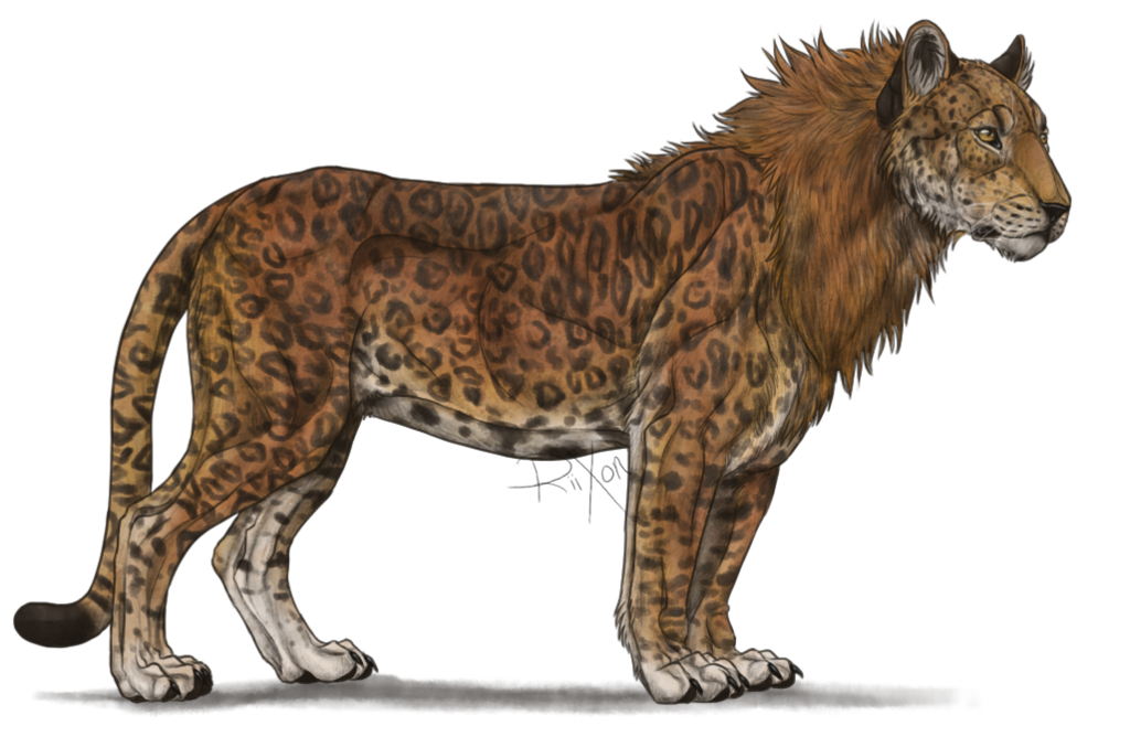leopon 3-10