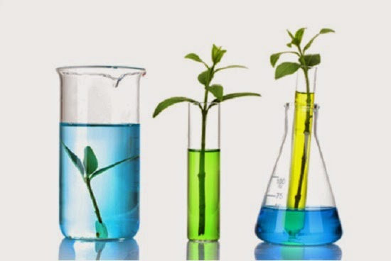 Conceitos e os 12 Princípios da Química Verde - O que é Química Verde?
