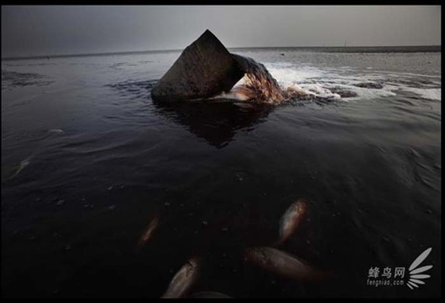 A sewage pipe dumping waste into the Yellow Sea.