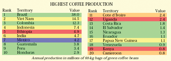 o maior produtor de café