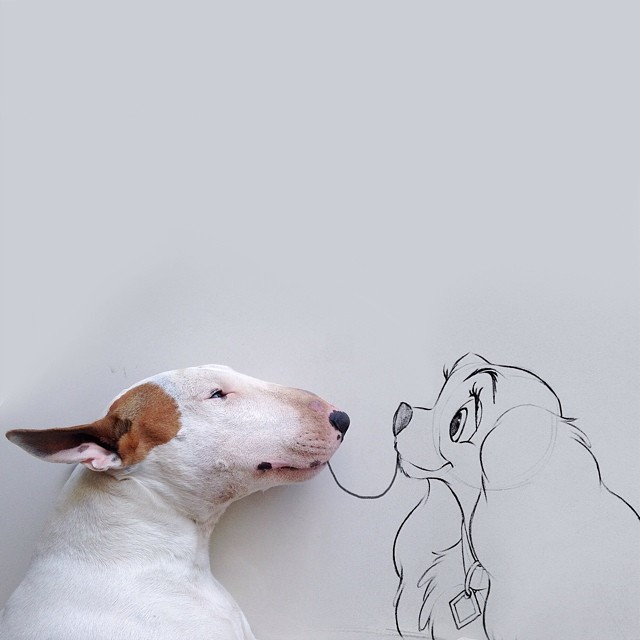 jimmy-choo-bull-terrier-ILUSTRAÇÕES-rafael Mantesso 5