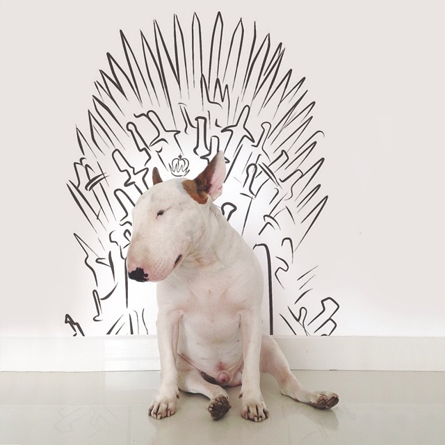 jimmy-choo-bull-terrier-ILUSTRAÇÕES-rafael Mantesso 11