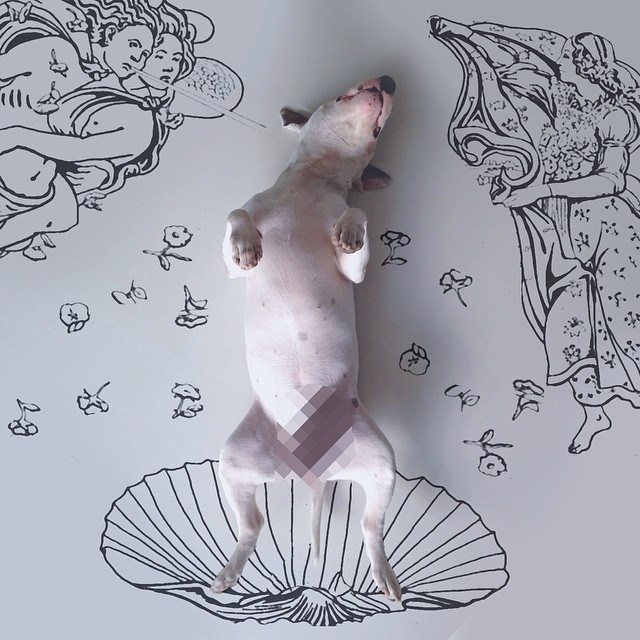 jimmy-choo-bull-terrier-ILUSTRAÇÕES-rafael Mantesso 12