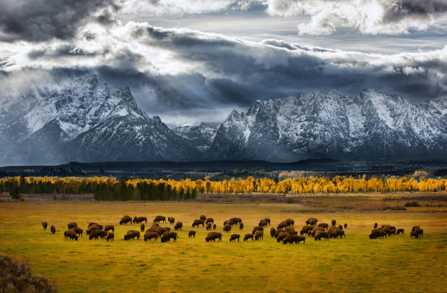 A fotografia de natureza mais inspirador do ano